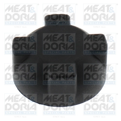 Cap, coolant tank